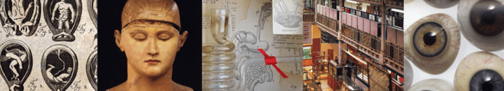 bannermedicalmuseum1