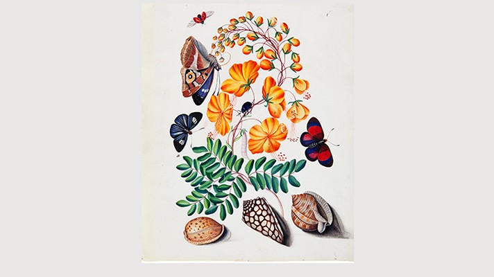 6b-Bolton_one-of-twenty-drawings