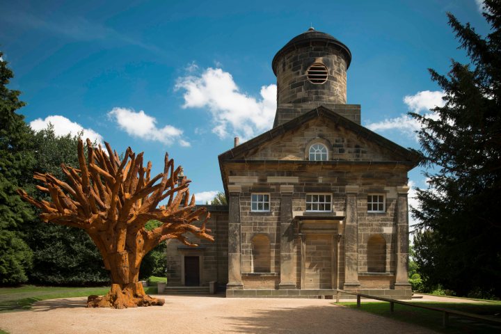 ai-weiwei-iron-tree-2013-courtesy-yorkshire-sculpture-park-photo-jonty-wilde
