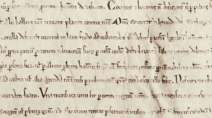 magna-carta-exhibtion-banner.showcase_2