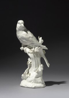 1236-a_chelsea_finch