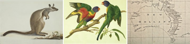 Australian_Encounters