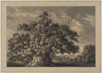 The Chestnut Tree at Little Wymondley, Hertfordshire, 1789