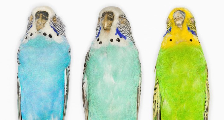 making-nature-main_0