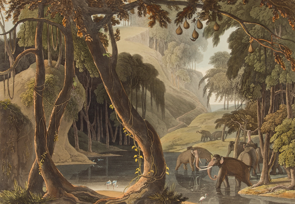 Exhibition | In Pursuit of the Picturesque | Enfilade
